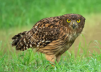 Generic placeholder image