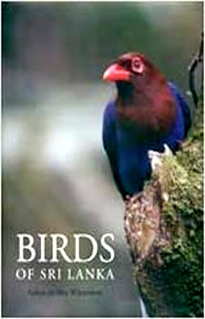 Book6